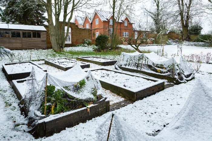 Gemüsegarten im Schnee